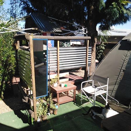 Xenia Bed & Breakfast Windhoek Exterior foto