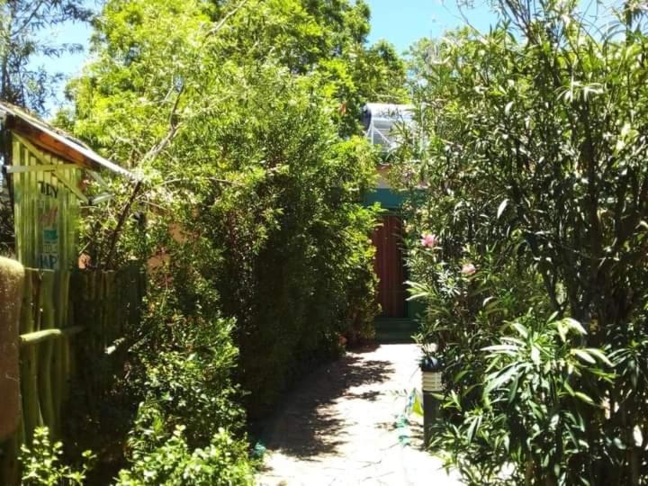 Xenia Bed & Breakfast Windhoek Exterior foto